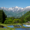 田植え前