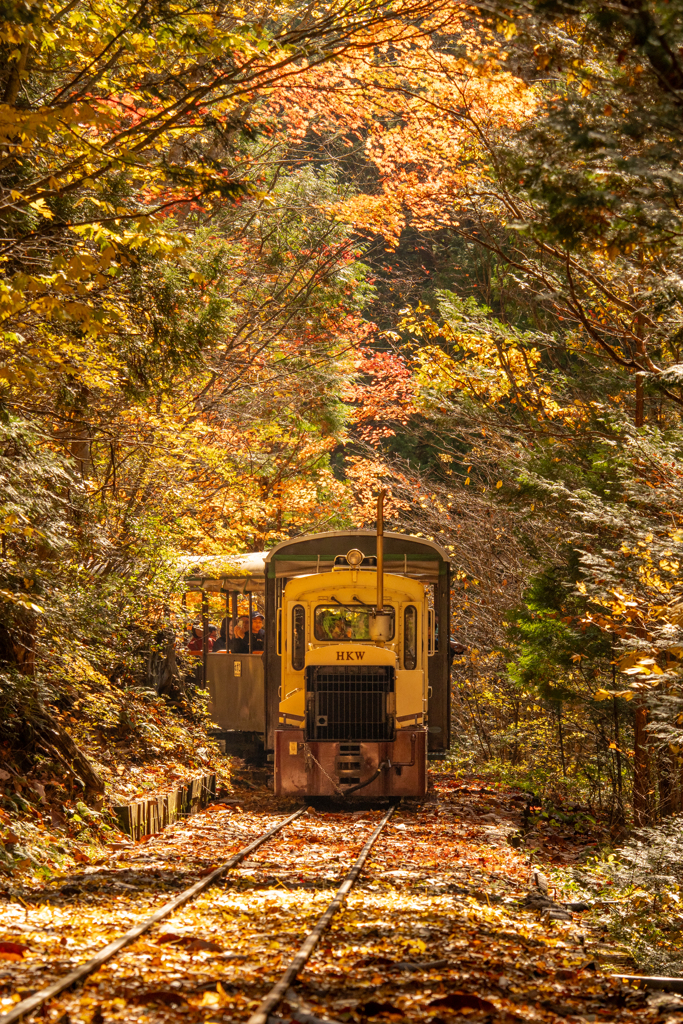 森林鉄道