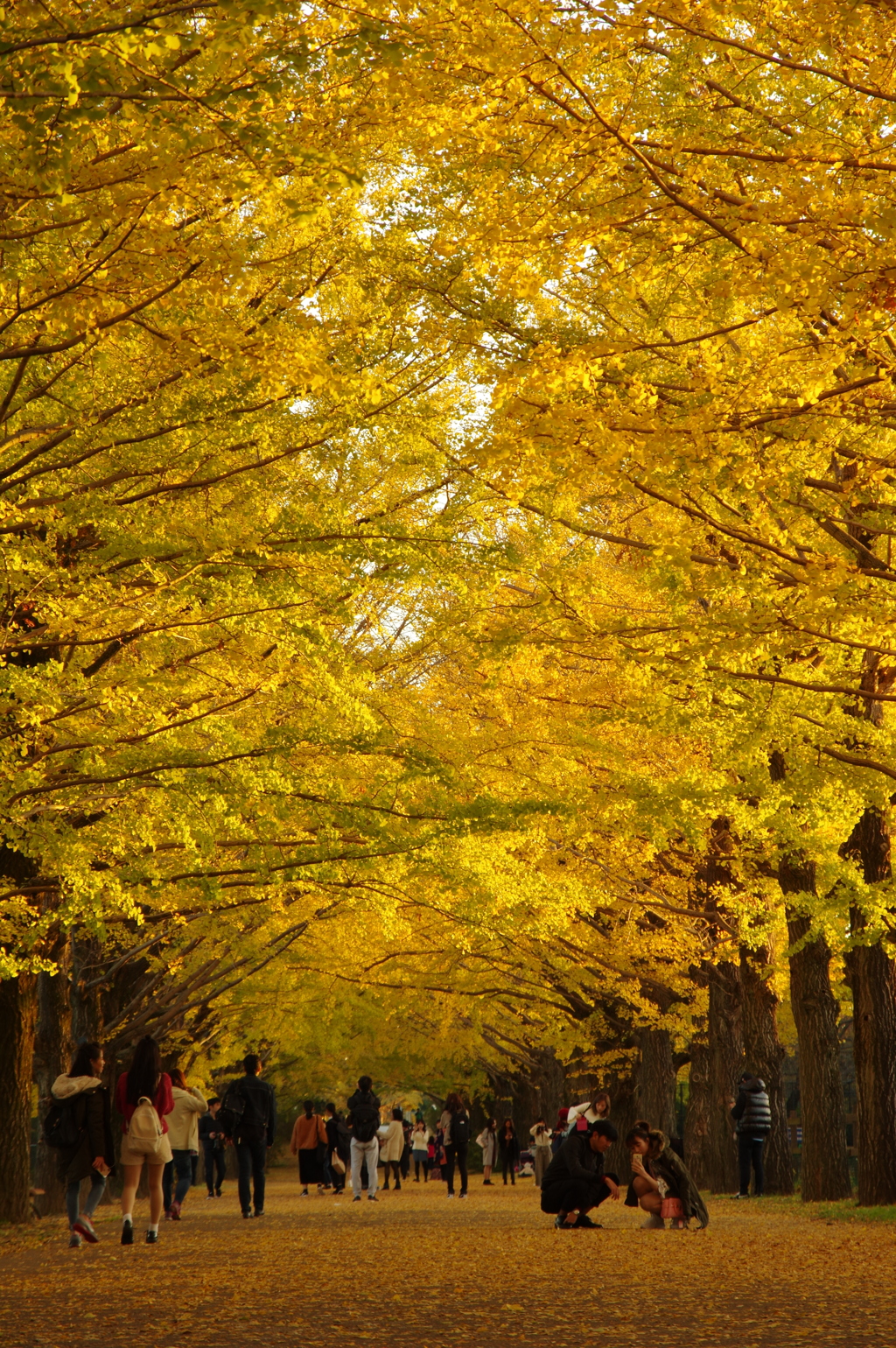 遊歩道