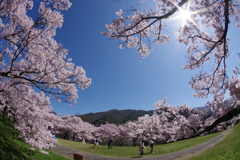Fisheye