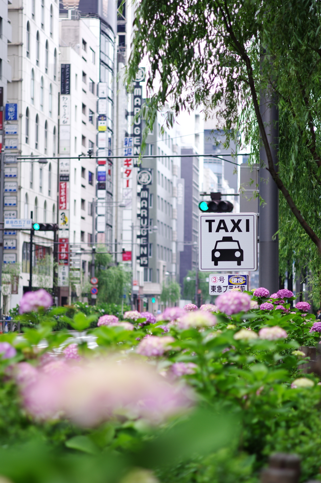 6月の街角