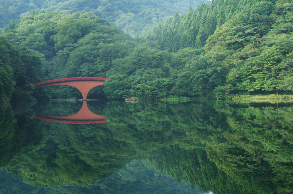 赤と緑