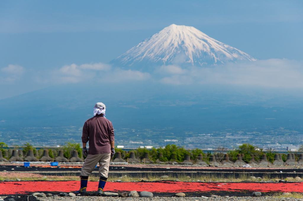 男の背中