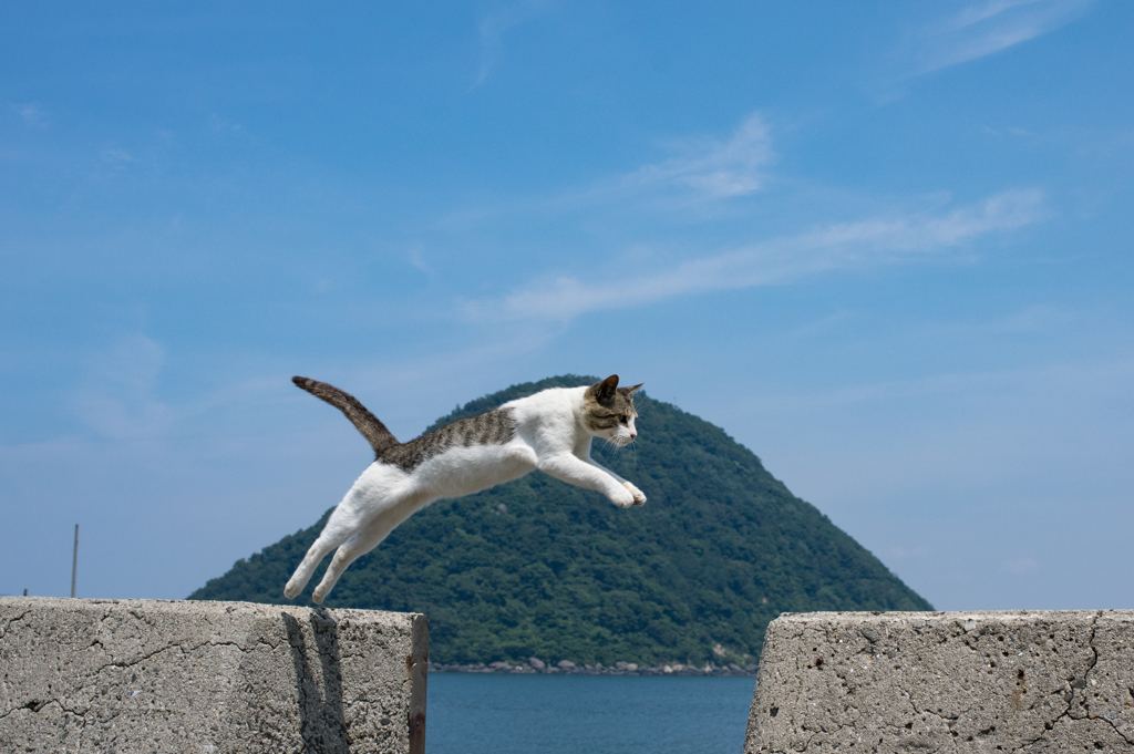 ジャンプ！