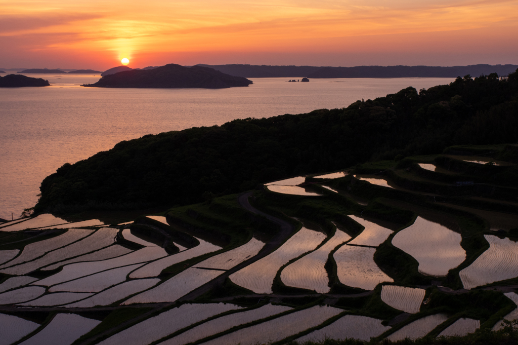 棚田の夕暮れ