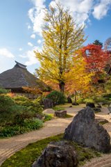 お寺の秋