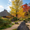 お寺の秋