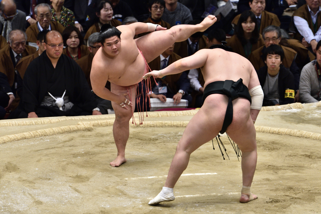 大相撲観戦（５）