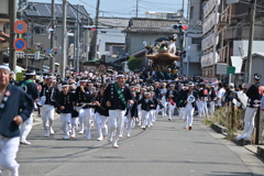 だんじり祭り（８）