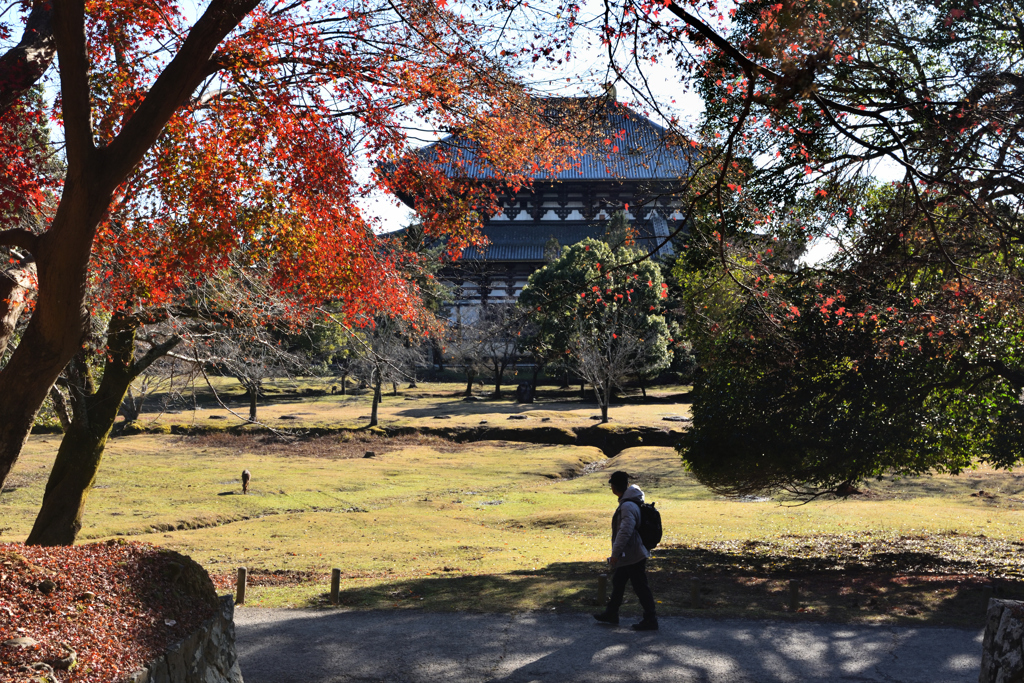 東大寺大仏殿