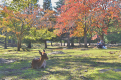 昼下がりの講堂跡