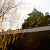 岸和田城　寸景（３）