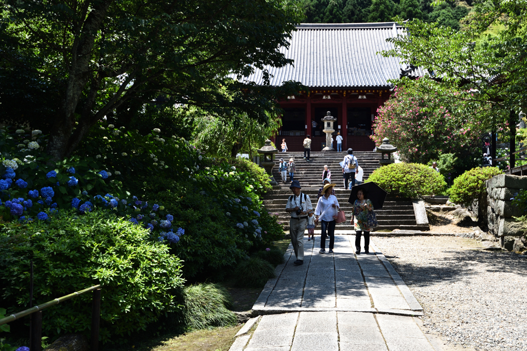 あじさい寺寸景（１）