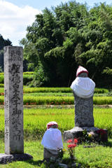 明日香村に秋が来た（２１）