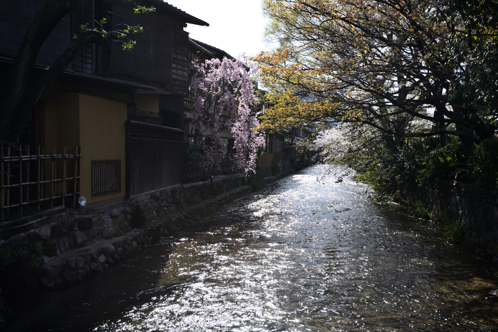 祇園白川巽橋界隈（３）