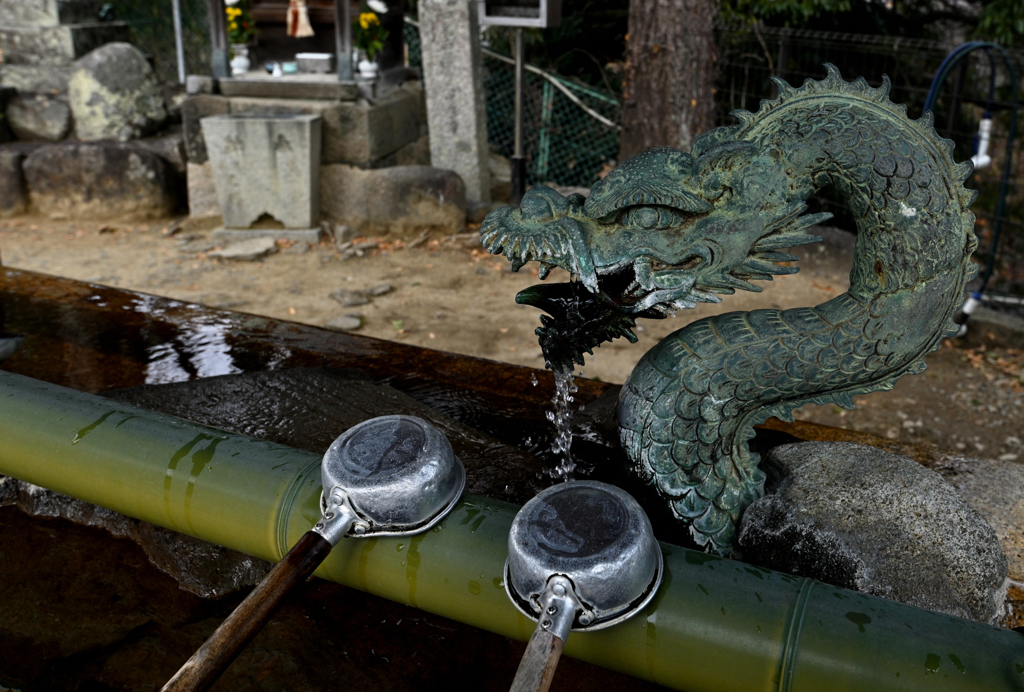 手水舎の龍（２）