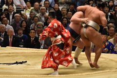 逃げる行司さん