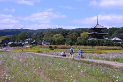 花を求めて