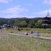 花を求めて