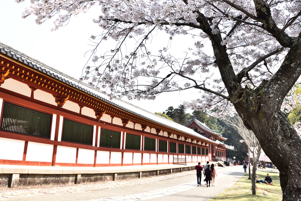 東大寺の春（１）