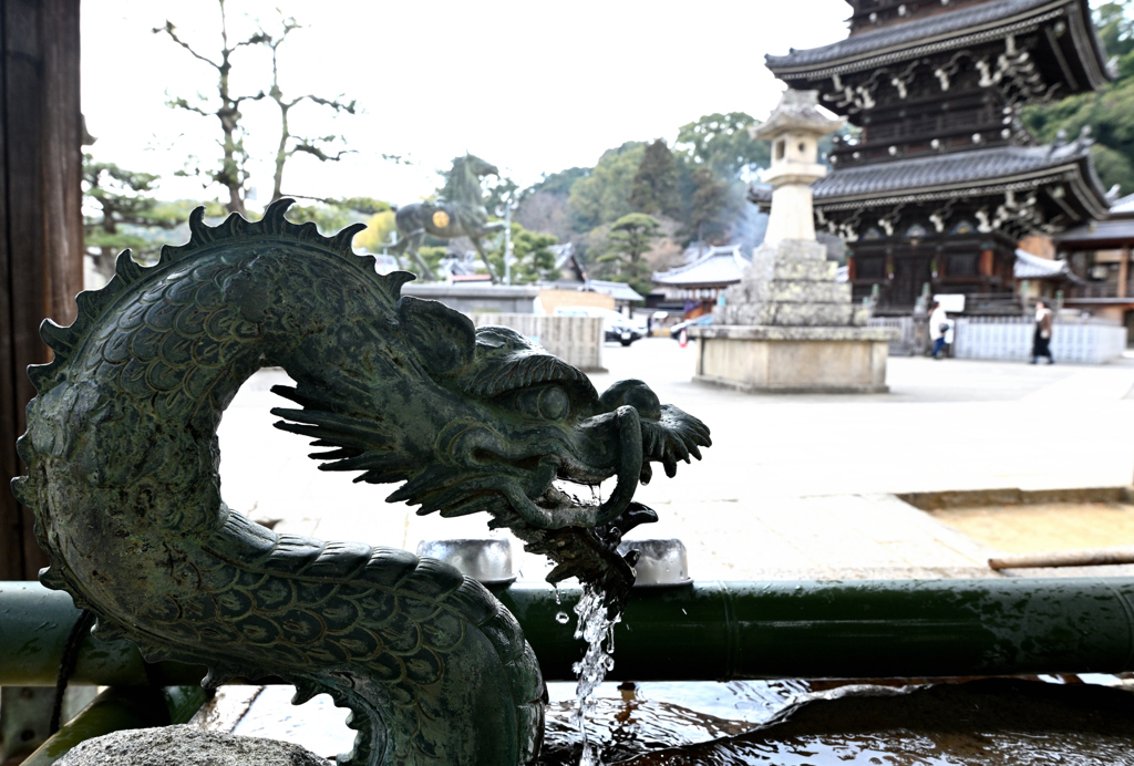 手水舎の龍