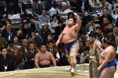 大相撲観戦（１０）
