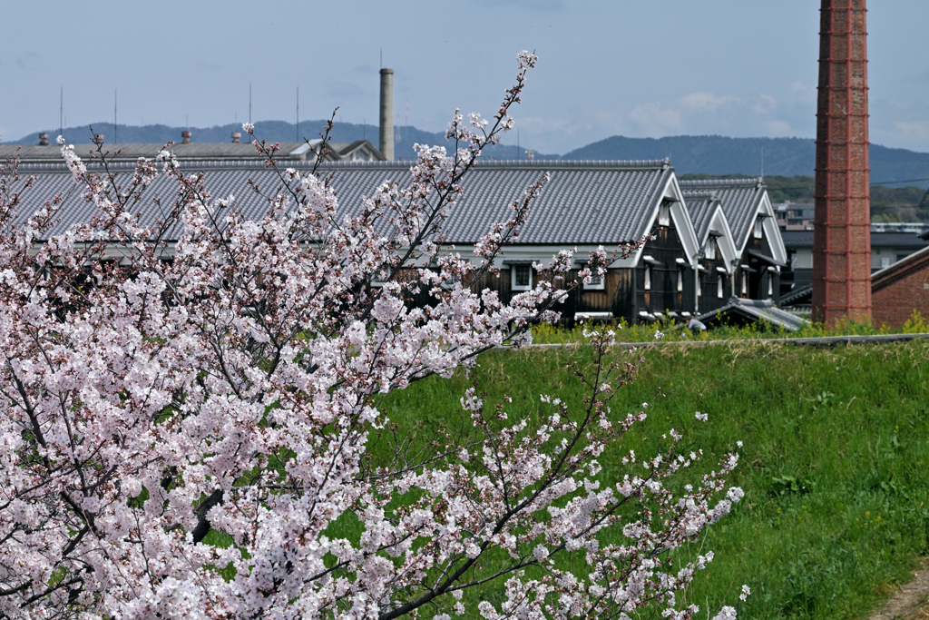 酒蔵のある町（１）