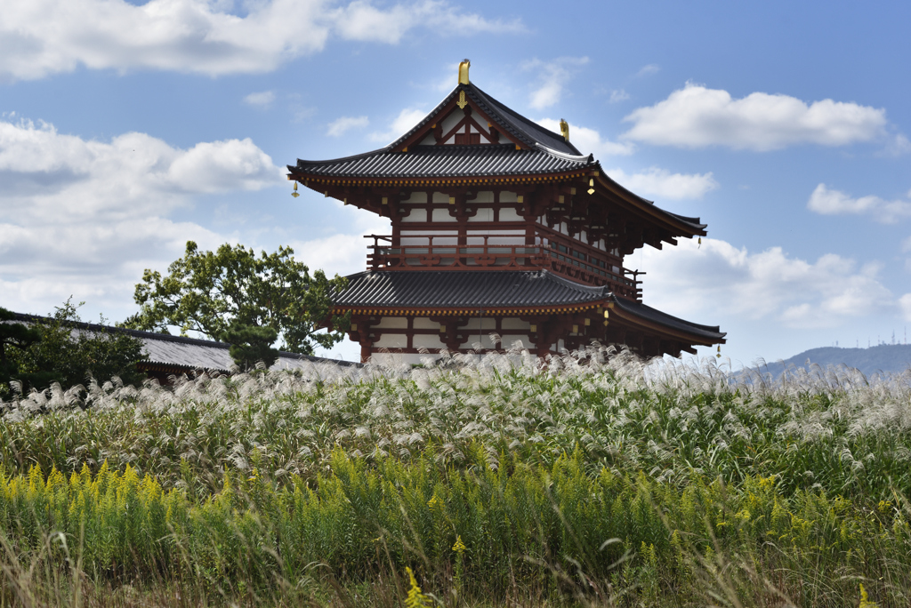 平城宮跡の秋（２）