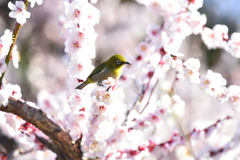 春の日差しの中で（２）