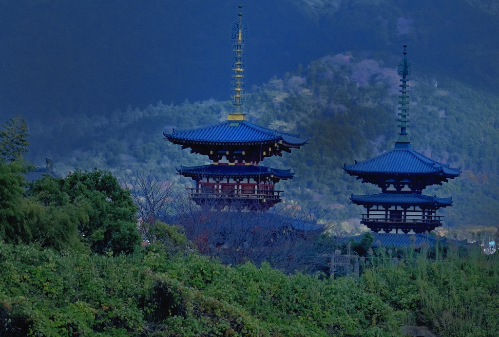 薬師寺 東塔と西塔