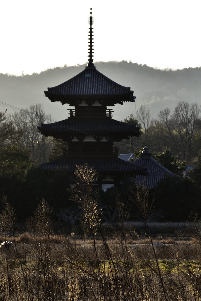 斑鳩冬景色（２）