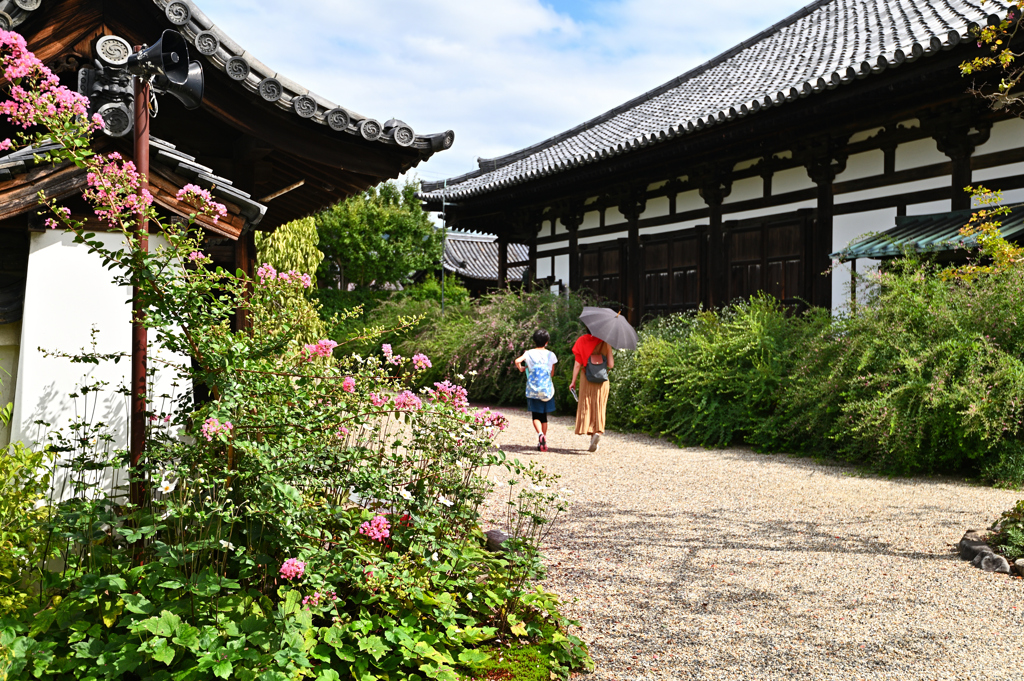 萩の寺（８）