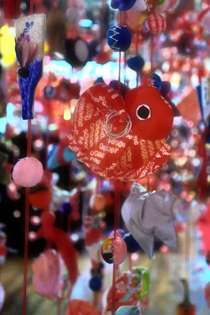 金魚の町のひな祭り（４）