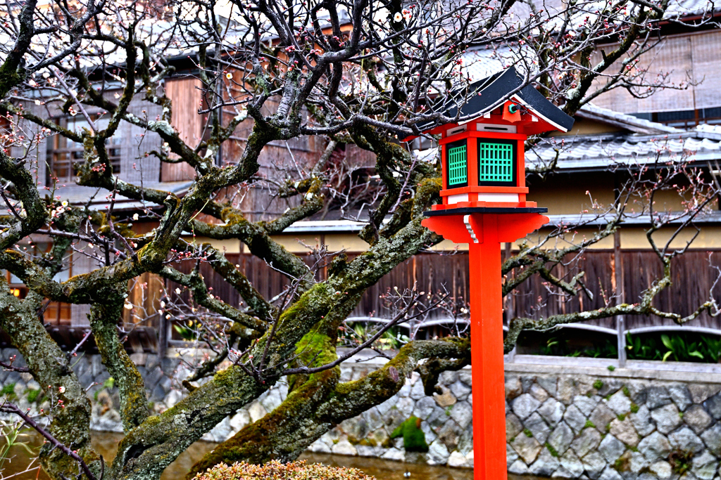 京の路地（白川筋）