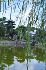 興福寺　五重の塔（１）