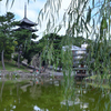 興福寺　五重の塔（１）