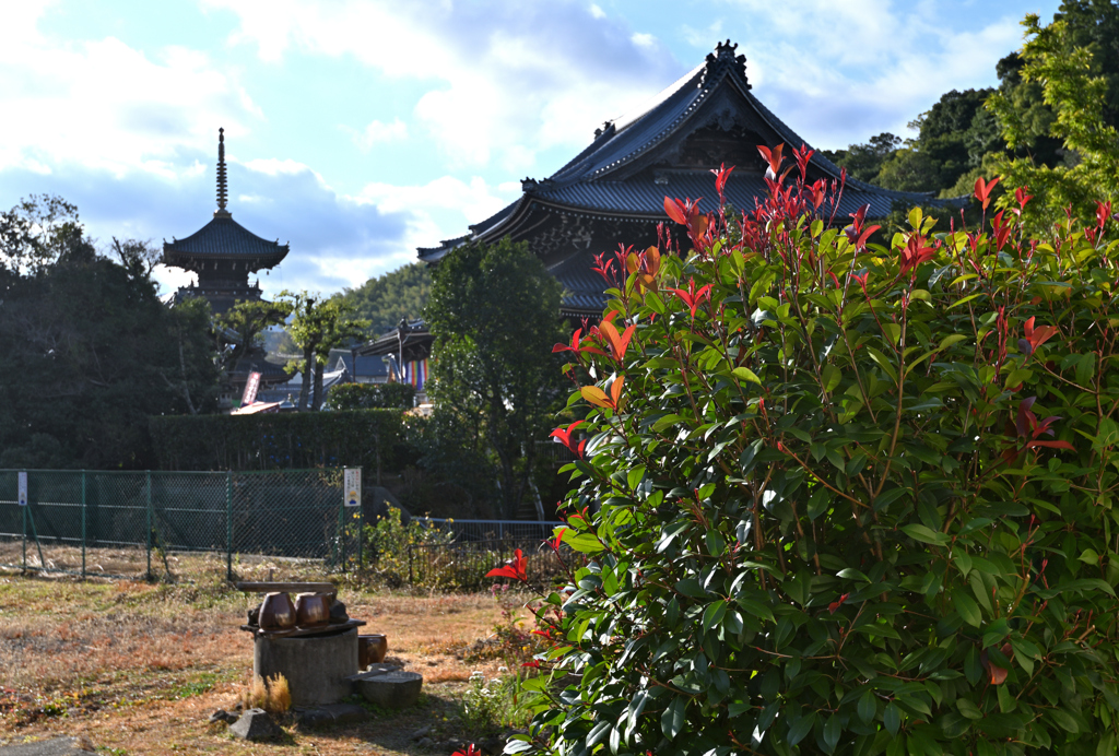 水間寺　寸景（２）