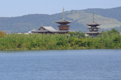 大池から見た薬師寺東塔と西塔