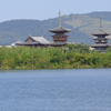 大池から見た薬師寺東塔と西塔