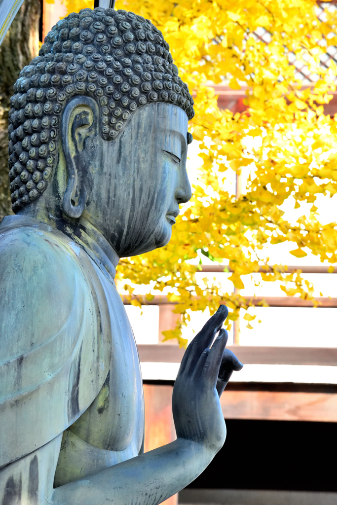 金戒光明寺の秋（２）