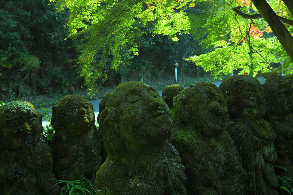 おたぎ念仏寺ー３