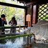 今年の干支のいる神社