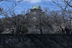 冬枯れの大阪城　（１）