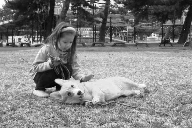 犬と少女 By ラン66 Id 写真共有サイト Photohito