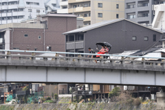 鴨川スナップ