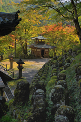 念仏寺の秋景色（１）