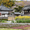 飛鳥寺