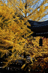 南禅寺の秋（２）