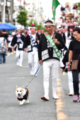 だんじり祭り（１２）