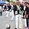だんじり祭り（１２）